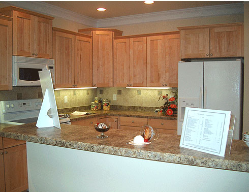 Kitchen Gallery-Image2